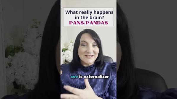 Pansos 4D: An Informational Overview