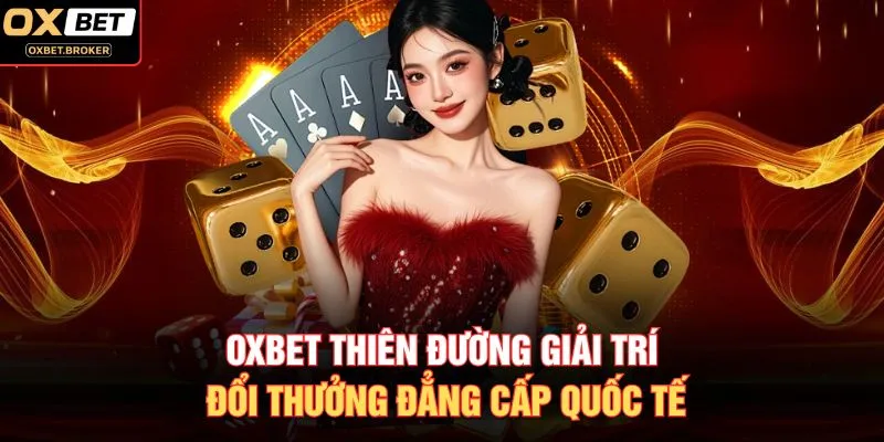 Oxbet – A Complete Guide for New Users